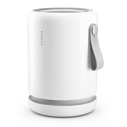 Molekule Air Mini - FDA-Cleared Medical Air Purifier with PECO Technology for Allergens, Pollutants, Viruses, Bacteria, and Mold, White