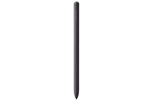 SAMSUNG Galaxy Tab S6 Lite 10.4" 64GB WiFi Android Tablet w/ S Pen Included, Slim Metal Design, Crystal Clear Display, Dual Speakers, Long Lasting Battery, SM-P610NZAAXAR, Oxford Gray