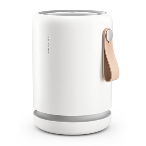 Molekule - Air Mini+ - FDA-Cleared Medical Air Purifier with Particle Sensor and PECO Technology for Smoke, Allergens, Pollutants, Viruses, Bacteria, and Mold- 250 sq. ft.