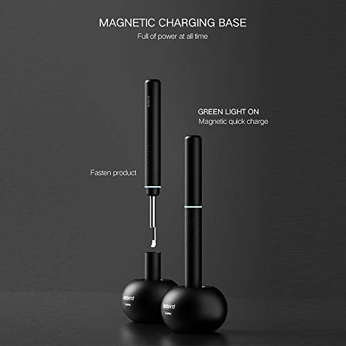 BEBIRD M9 Pro Metal Design Smart Visual Ear Otoscope, 1080P Wireless Ear Camera, Reusable Ear Wax Removal Tools, Professional Home Ear Inspection for Kids and Adults, Works with iPhone, iPad, Android