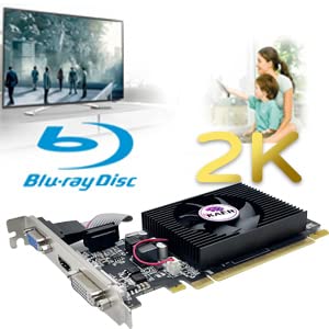 GeForce GT 730 2GB DDR3 64 Bit PCI Express 2.0 X 8, DVI VGA HDMI of 3 Ports Low Profile Graphics Card, PC Video Card