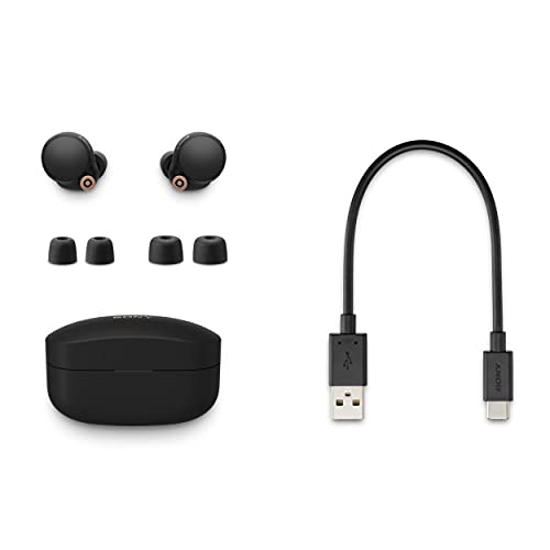 Sony WF-1000XM4 True Wireless Noise Canceling Headphones (Black) with Knox Gear silicone carrying case with carabiner for Sony WF-1000XM4 Truly Wireless Earbuds bundle (2 items)