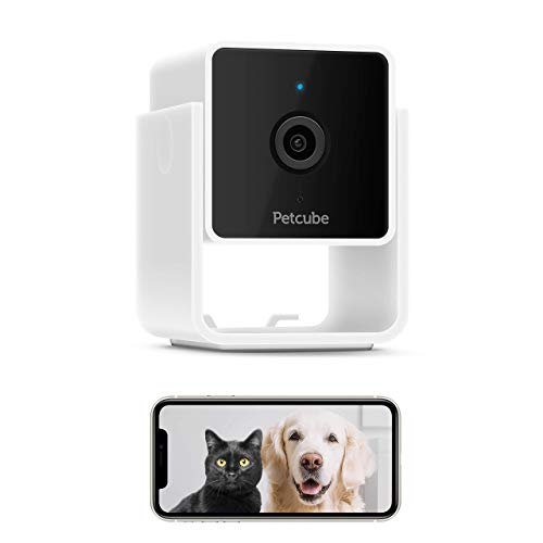 Petcube Cam Pet Monitoring Camera with Built-in Vet Chat for Cats & Dogs, Security Camera with 1080p HD Video, Night Vision, Two-Way Audio, Magnet Mounting for Entire Home Surveillance… (1 Camera)
