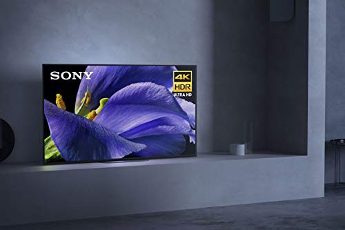 Sony XBR-55A9G 55-inch TV: MASTER Series BRAVIA OLED 4K Ultra HD Smart TV with HDR and Alexa Compatibility - 2019 Model