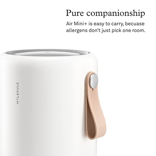 Molekule - Air Mini+ - FDA-Cleared Medical Air Purifier with Particle Sensor and PECO Technology for Smoke, Allergens, Pollutants, Viruses, Bacteria, and Mold- 250 sq. ft.