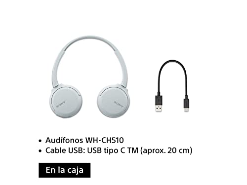 Sony Wireless Headphones WH-CH510: Wireless Bluetooth On-Ear Headset with Mic for Phone-Call, White (Amazon Exclusive)