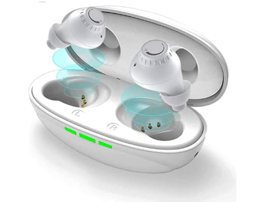 Vixuiyz Digital Hearing Amplifiers: Rechargeable Hearing Aids for Seniors | Invisible Ear Aid Devices for Adults with Noise Cancelling (D-31B)