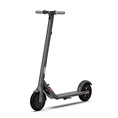 Segway Ninebot E22 Electric Kick Scooter, Lightweight and Foldable, Upgraded Motor Power, Dark Grey