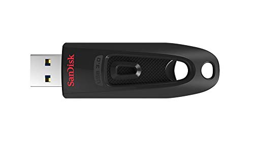 SanDisk Ultra 512GB USB 3.0 Flash Drive (Bulk 10 Pack) Works with Computer, Laptop, 130MB/s 512 GB PenDrive High Speed Memory Storage (SDCZ48-512G-U46) Bundle with 5 Everything But Stromboli Lanyards