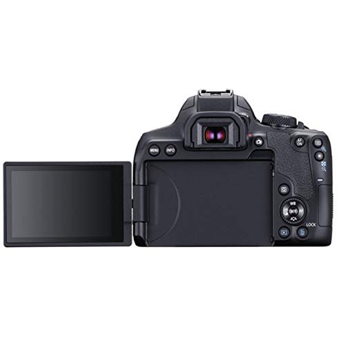 Canon EOS Rebel T8i DSLR Camera w/EF-S 18-55mm F/4-5.6 is STM Zoom Lens + 75-300mm F/4-5.6 III Lens + 420-800mm Super Telephoto Lens + 128GB Memory + Case + Tripod + Filters (40pc Bundle)