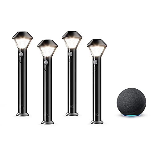 Ring Smart Lighting – Pathlight, Battery-Powered, Outdoor Motion-Sensor Security Light, Black (4-pack) + Echo (4th Gen)