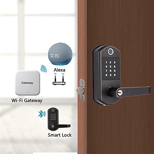 Smart Door Lock, Scyan X10, 5 in 1 Fingerprint Biometric Door Lock, Touchscreen Keypad Door Lock, Key Fob, Auto Locking, for Office, Home, Airbnb, Rental House (Aged Bronze)