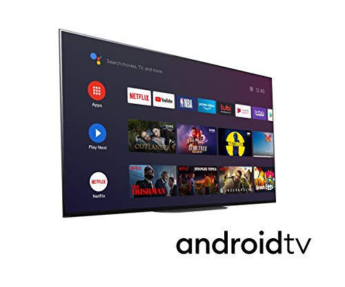 Sony XBR-55A9G 55-inch TV: MASTER Series BRAVIA OLED 4K Ultra HD Smart TV with HDR and Alexa Compatibility - 2019 Model