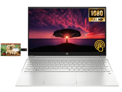 New HP Pavilion Business Laptop, 15.6" FHD Touchscreen IPS Display, AMD Ryzen 7 5825U 8-Core, Windows 10 Pro, 32GB RAM 1TB SSD|32GB Durlyfish USB Card
