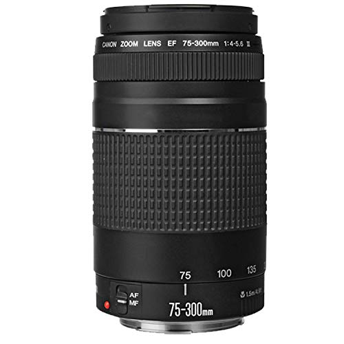 Canon EOS Rebel T8i DSLR Camera w/EF-S 18-55mm F/4-5.6 is STM Zoom Lens + 75-300mm F/4-5.6 III Lens + 420-800mm Super Telephoto Lens + 128GB Memory + Case + Tripod + Filters (40pc Bundle)