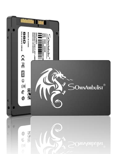 Somnambulist SSD 2TB 2.5″ 7mm(0.28″) SATA III 6Gb/s Internal Solid State Hard Drive 3D NAND Up to 520Mb/s for Laptop and Pc (2tb Black Dragon)