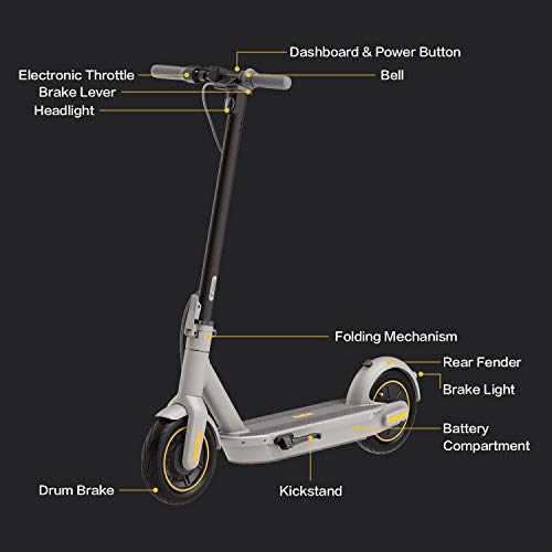 Segway Ninebot MAX Electric Kick Scooter (G30LP), Up to 25 Miles Long-range Battery, Max Speed 18.6 MPH, Lightweight and Foldable