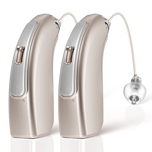iBstone Rechargeable Hearing Aids, RIC (Receiver in Canal) Digital Device with Dual Mic Noise Cancelling, 4 Modes for Different Frequency Hearing Loss, Champaign, RIC05, Pair