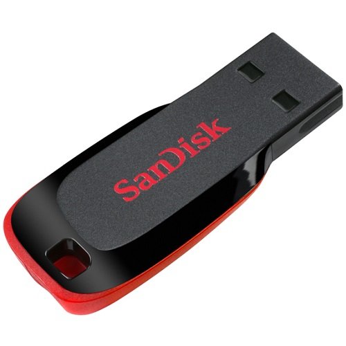 SanDisk Cruzer Blade USB 2.0 Flash Drive SDCZ50 Jump Drive Bundle with Everything But Stromboli Lanyard (128GB)
