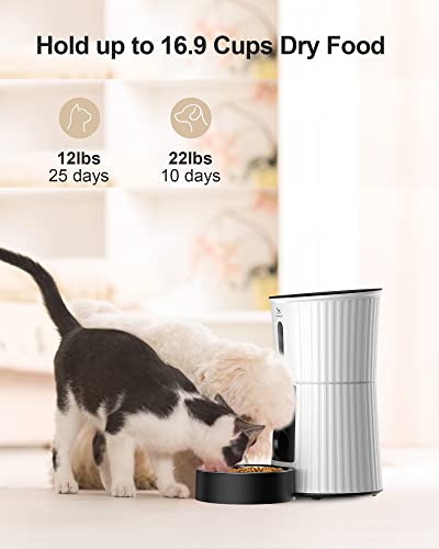 Petory Automatic Cat Feeders Wi-Fi - 4L Dry Food Dispenser for Cats and Dogs 10 Meals per Day Smart Pet Feeder with Desiccant Bag Dual Power Supply 10S Voice Recorder