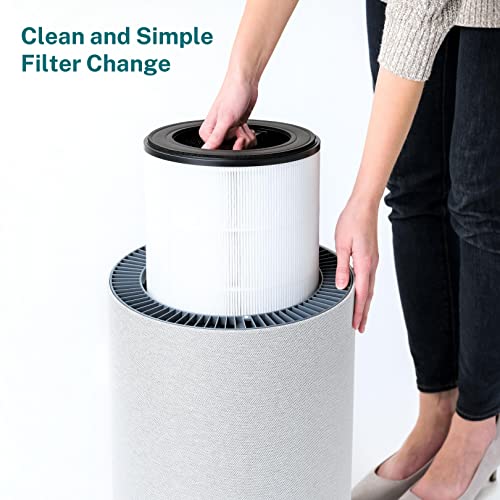 Oransi Air Purifier | Mod with Extra Replacement HEPA Filter, 878 Sq Ft Coverage