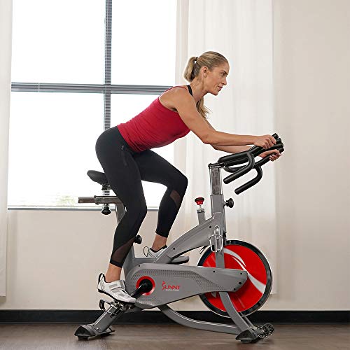 Sunny Health & Fitness AeroPro Indoor Cycling Exercise Bike with 44 LB Flywheel and Magnetic Resistance - SF-B1711, Grey