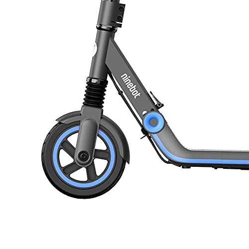 Segway Ninebot eKickScooter ZING E10 Electric Kick Scooter for Kids and Teens, Lightweight and Foldable, New Cruise Mode, Dark Grey