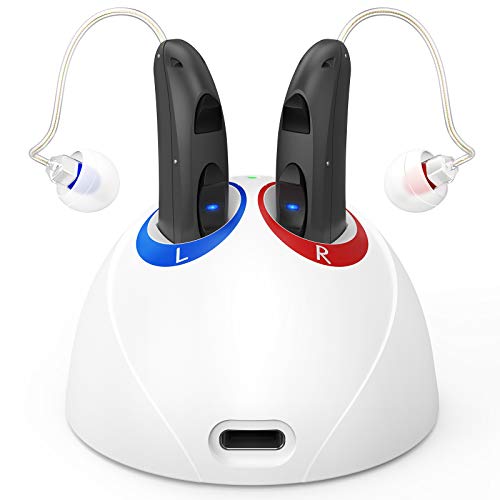 Professional Rechargeable Hearing Aid for Seniors Adults, Vivtone RIC02 (Receiver in Canal) for Best Sound Gain, Dual Mics for Noise Cancelling Digital Devices, Pair
