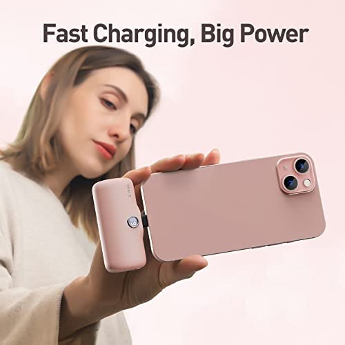 iWALK Portable Charger 4800mAh Power Bank Fast Charging and PD Input Small Docking Battery with LED Display Compatible with iPhone 13/13 Pro/13 Pro Max/12/12 Pro/12 Pro Max/11 Pro/XR/X/8/Plus, Pink