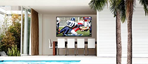 SAMSUNG 55-inch Class QLED 4K UHD The Terrace Series Outdoor Direct Full Array 16x Quantum HDR 32x, Weatherproof, Wide Viewing Angle, Smart TV with Alexa Built-in (QN55LST7TAFXZA, 2020 Model)