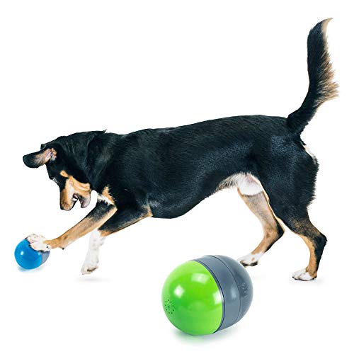 PetSafe Ricochet - Electronic Squeaking Dog Toy - 2 Paired Toys Squeak to Keep Dogs Busy - Engaging Puzzle for Bored, Anxious or Energetic Pets, Multicolor, 4.2" x 3.4" (Set of 2)