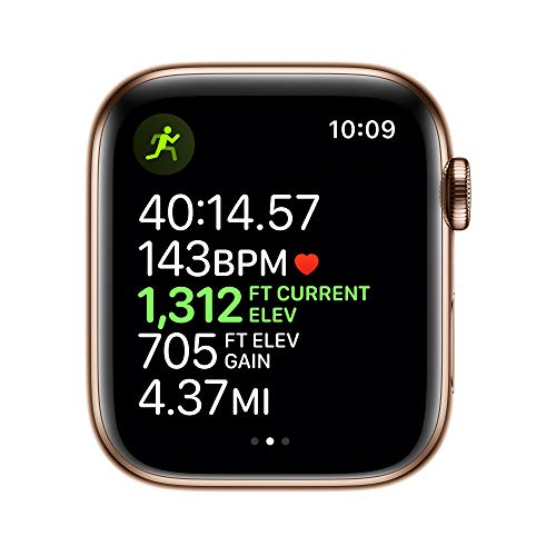 Apple Watch Series 5 (GPS + Cellular, 44mm) - Gold Stainless Steel Case with Stone Sport Band