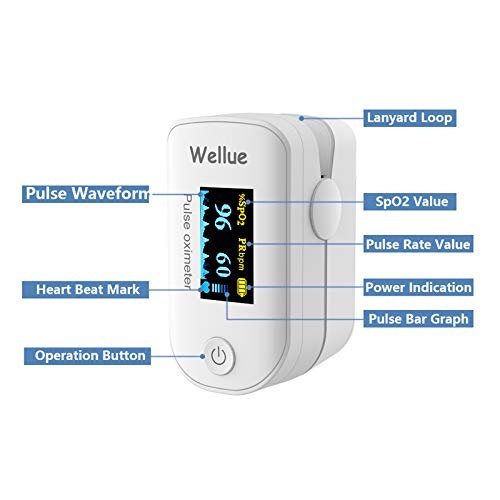 Wellue Pulse Oximeter Fingertip Blood Oxygen Saturation Monitor with Batteries for Wellness Use FS20F Bluetooth