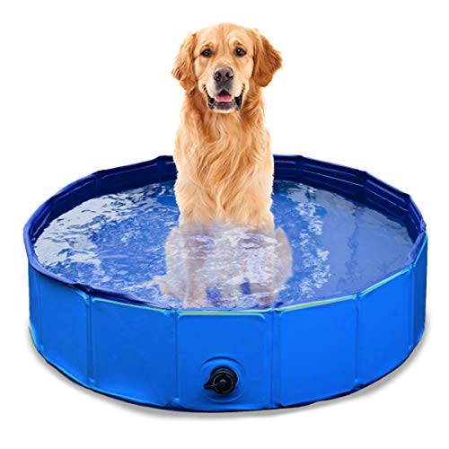 Zone Tech Foldable Pet Dog Swimming Pool - Premium Quality Easy to Store Collapsible Foldable Playing Bath Pool for Kids and Pets, Leakproof Bathing Tub for Indoor & Outdoor Backyard