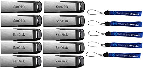 SanDisk 256GB Ultra Flair USB 3.0 Flash Drive (10 Pack) High Speed Memory Pen Drive (SDCZ73-256G-G46) Bundle with 5 Everything But Stromboli Lanyards
