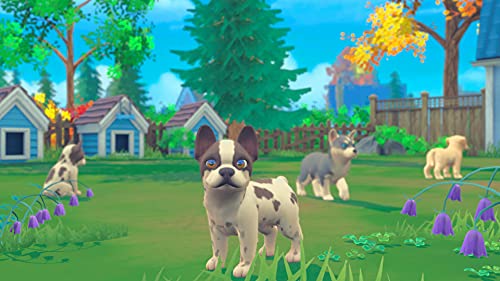 My Universe: Puppies and Kittens - Nintendo Switch