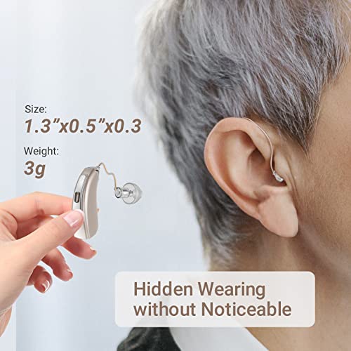 iBstone Rechargeable Hearing Aids, RIC (Receiver in Canal) Digital Device with Dual Mic Noise Cancelling, 4 Modes for Different Frequency Hearing Loss, Champaign, RIC05, Pair