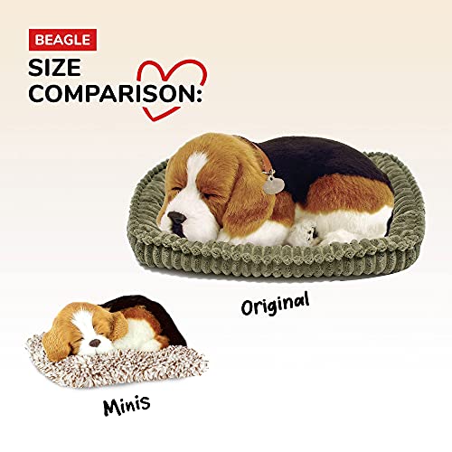 Mini Beagle, Realistic, Lifelike Stuffed Interactive Plush Toy, Electronic Pets, Companion Pet Puppy with 100% Synthetic Fur – Perfect Petzzz