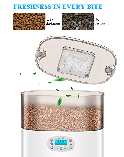 HoneyGuaridan 6L Automatic Cat Feeder for 2 Cats, 2.4G WiFi Enabled Smart Feed Automatic Pet Feeder for Cats & Dogs, Timed Pet Food Dispenser with Stainless Steel Bowl APP Control, 10s Voice Recorder