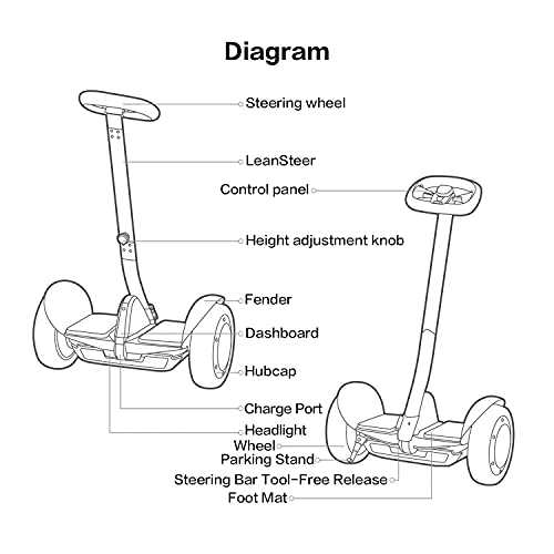 Segway Ninebot S-Max Smart Self-Balancing Electric Scooter with LED Light, Portable and Powerful, Black