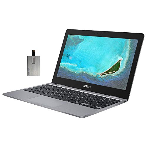2020 ASUS Chromebook 11.6" HD Laptop Computer, Intel Celeron N3350 Processor, 4GB RAM, 16GB eMMC, HD Webcam, Stereo Speakers, Intel HD Graphics 500, Bluetooth, Chrome OS, Gray, 128GB SnowBell USB Card