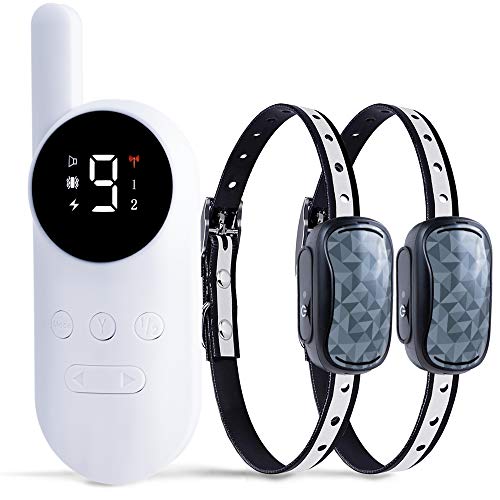 GoodBoy Mini No Shock Remote Collar for Dogs with Beep and Vibration Modes for Pet Behaviour Training - Waterproof & 1000 Feet Range - Suitable for Extra Small to Medium Dogs (2 Collars)