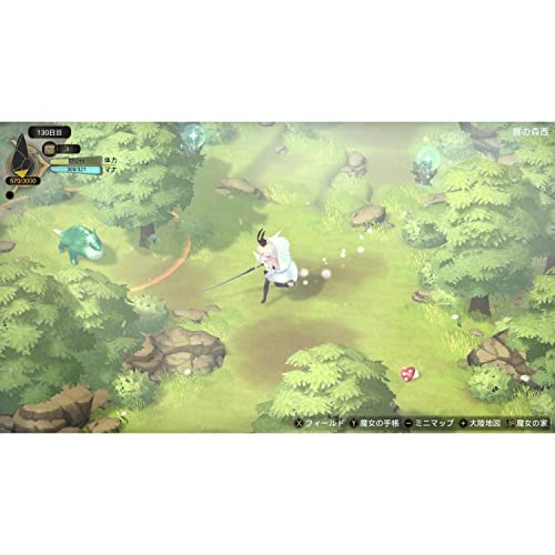 Witch Spring 3 Re:Fine - The Story of the Marionette Witch Eirudy - Nintendo Switch