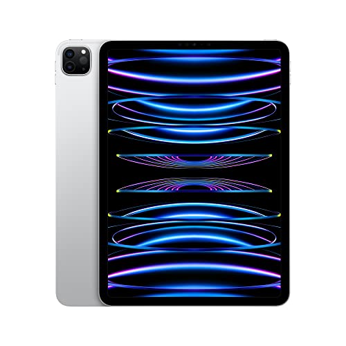 2022 Apple 11-inch iPad Pro (Wi-Fi, 1TB) - Silver (4th Generation)