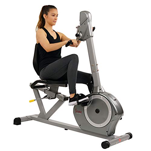 Sunny Health & Fitness Recumbent Bike SF-RB4631 with Arm Exerciser, 350lb,Gray