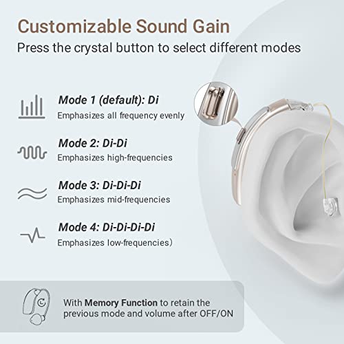 iBstone Rechargeable Hearing Aids, RIC (Receiver in Canal) Digital Device with Dual Mic Noise Cancelling, 4 Modes for Different Frequency Hearing Loss, Champaign, RIC05, Single