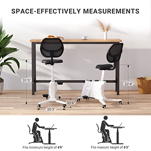 FLEXISPOT Desk Chair Fitness Chair Adjustable Exercise Workstation Cycle Desk Bike for Home and Office, White F1