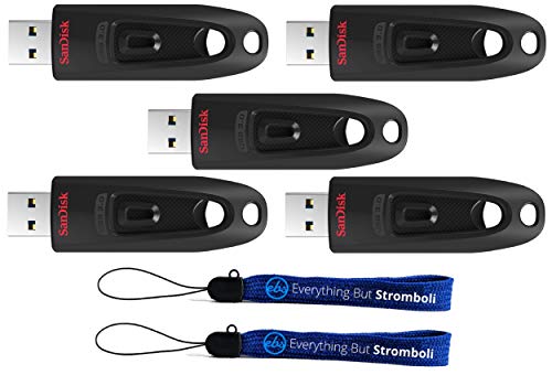 SanDisk Ultra 256GB USB 3.0 Flash Drive (Bulk 5 Pack) Works with Computer, Laptop, 130MB/s 256 GB PenDrive High Speed (SDCZ48-256G-U46) Bundle with (2) Everything But Stromboli Lanyards