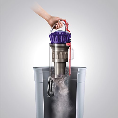 Dyson DC65 Animal Upright Vacuum Cleaner