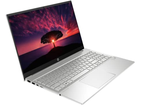 New HP Pavilion Business Laptop, 15.6" FHD Touchscreen IPS Display, AMD Ryzen 7 5825U 8-Core, Windows 10 Pro, 32GB RAM 1TB SSD|32GB Durlyfish USB Card